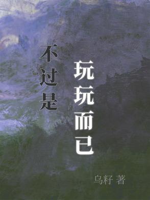 不过是玩玩而已